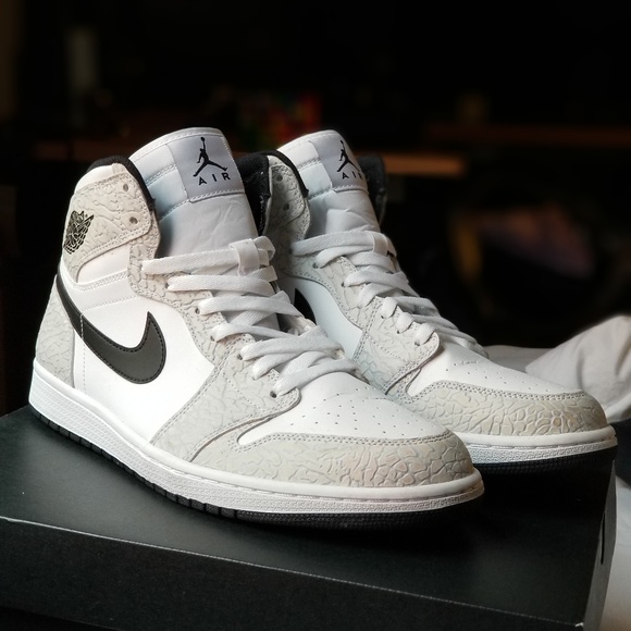 elephant skin jordan 1